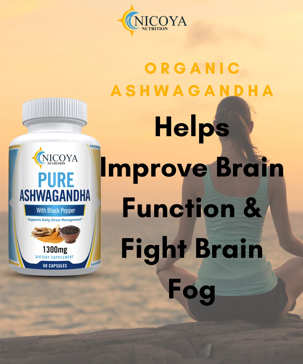 Bottle of Ashwagandha Supplement for Stress & Calm Support – 1300mg, 60ct to support health and wellness