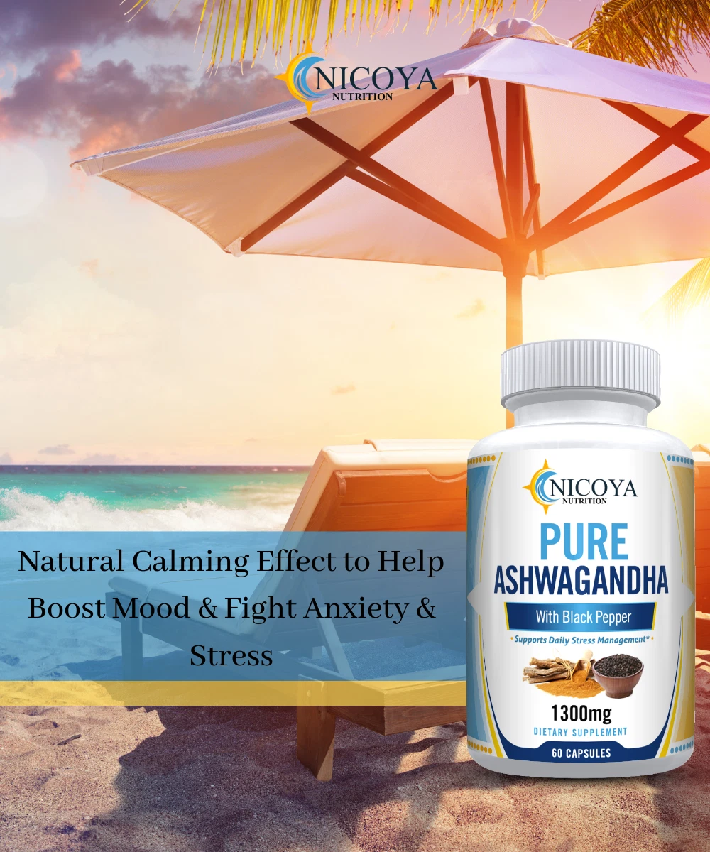 Bottle of Ashwagandha Supplement for Stress & Calm Support – 1300mg, Organic to support health and wellness