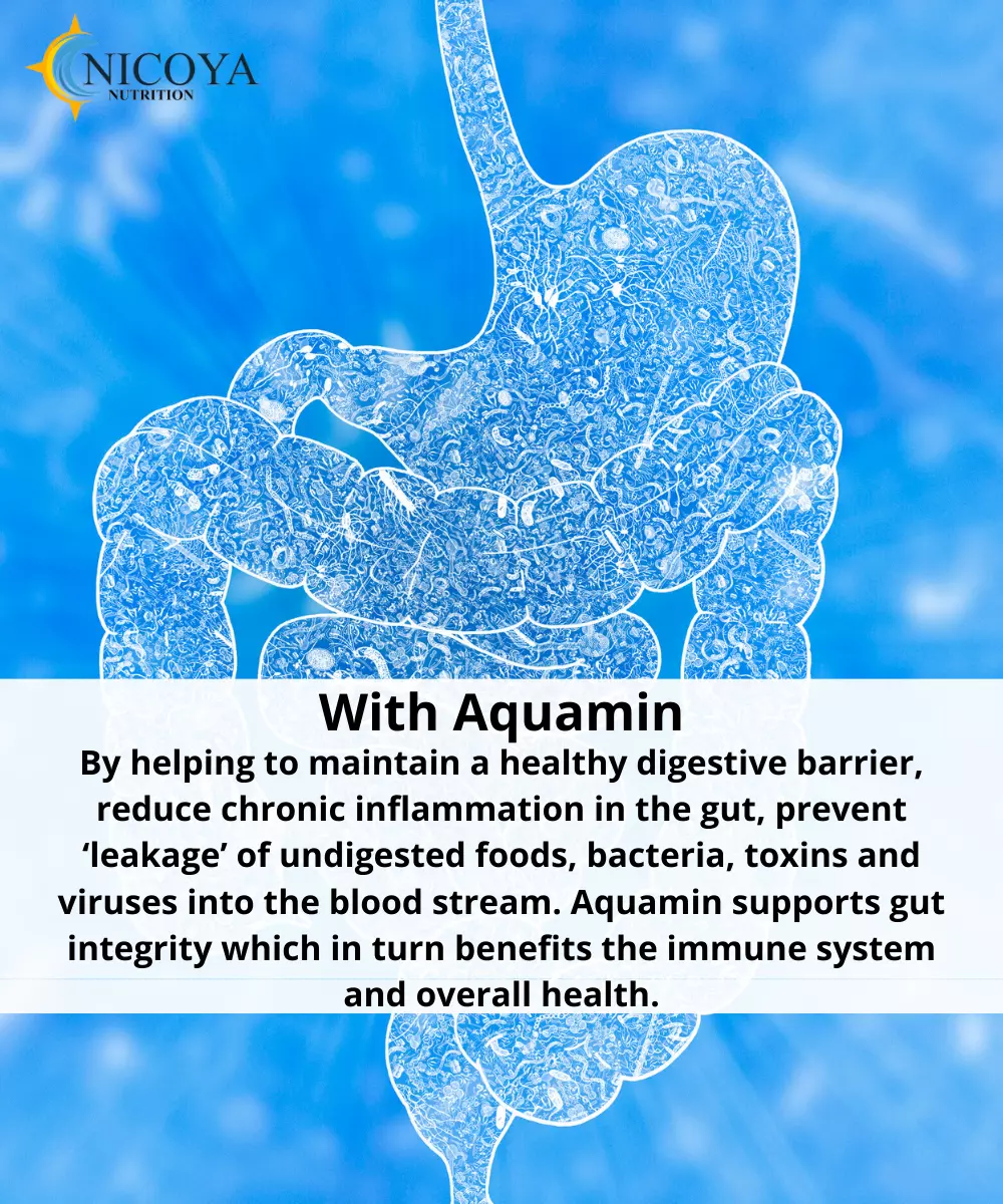 Bottle of Magnesium Complex Supplement for Stress & Relaxation Support – 500mg to support health and wellness