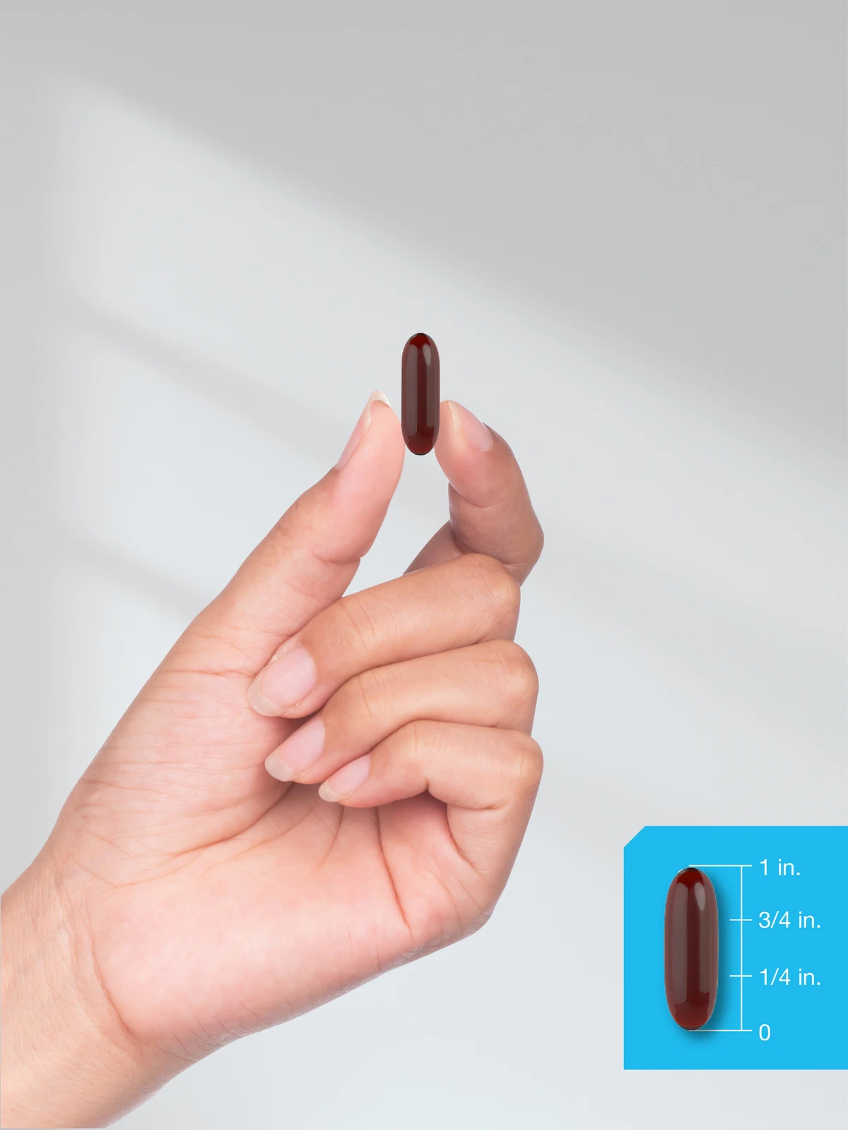 Bottle of Horbaach Krill Oil 2000mg to support health and wellness