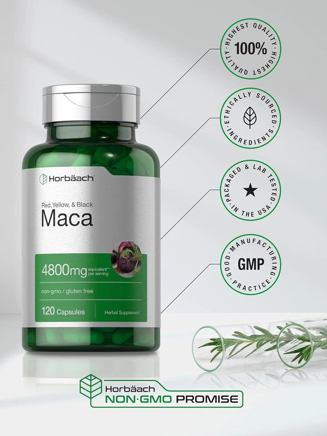 Bottle of Maca Root Capsules 4800mg to support health and wellness