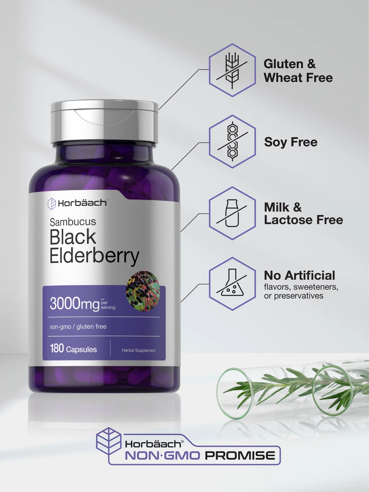 Bottle of Black Elderberry Capsules 3000mg to support health and wellness