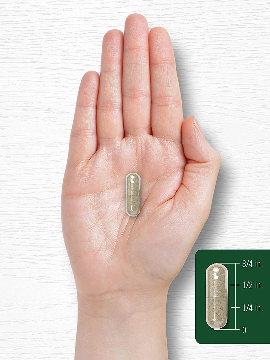 Bottle of Turkey Tail Mushroom 1200mg to support health and wellness