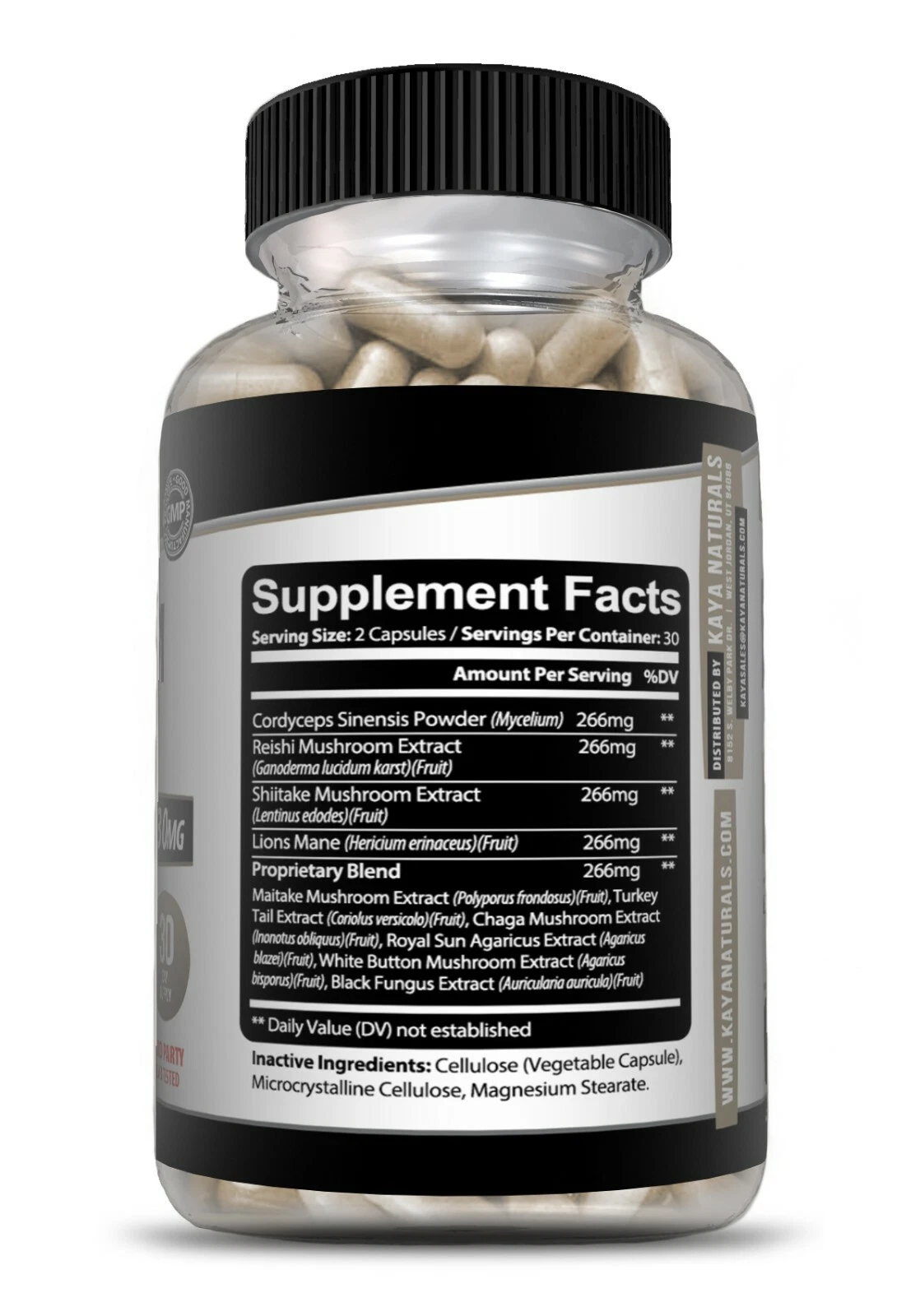 Bottle of Elderberry Gummies 60ct with elderberry, immune support to support health and wellness