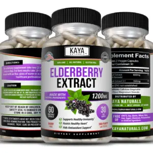 Bottle of Sambucus Black Elderberry 3 Pack 1200mg 60ct with elderberry, immune support to support health and wellness