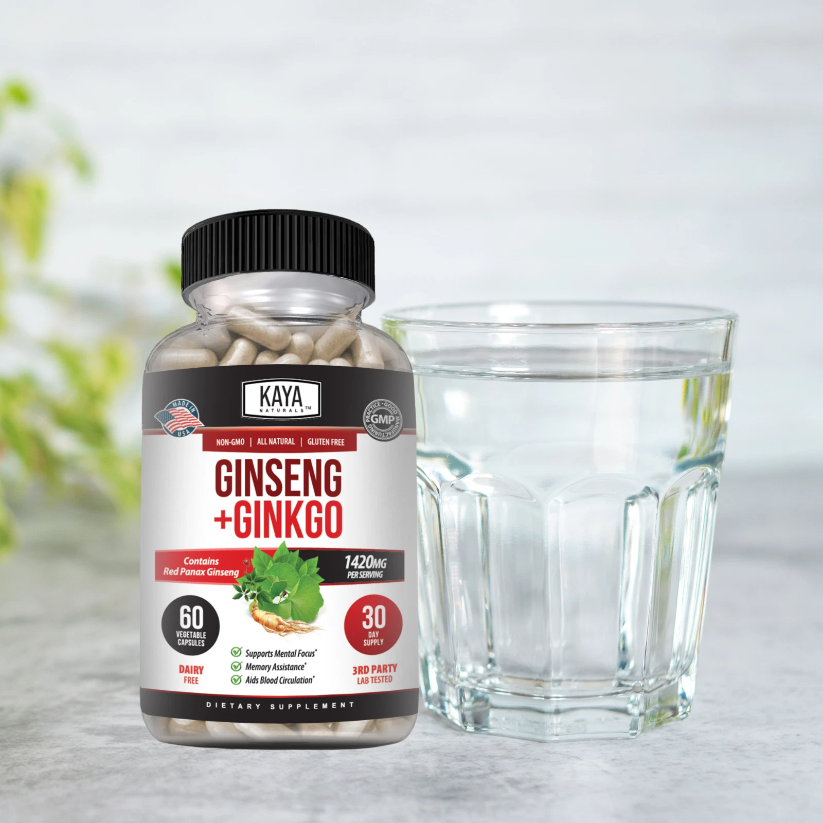 Image of Ginkgo Biloba & Red Panax Ginseng for Brain & Memory Support – Focus Supplement