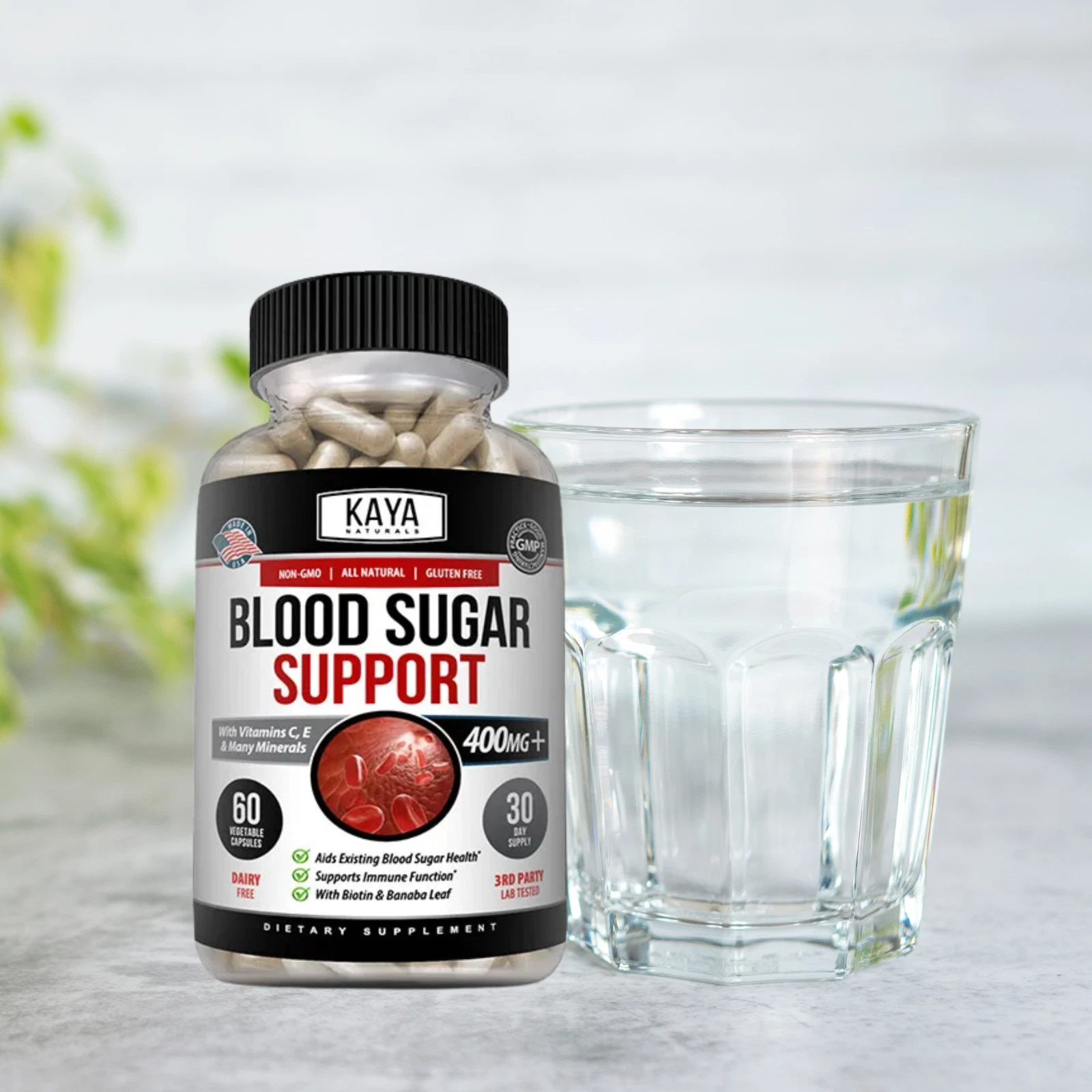 Image of Blood Sugar Support Supplement with Alpha Lipoic Acid – 2 Pack, 60 Capsules
