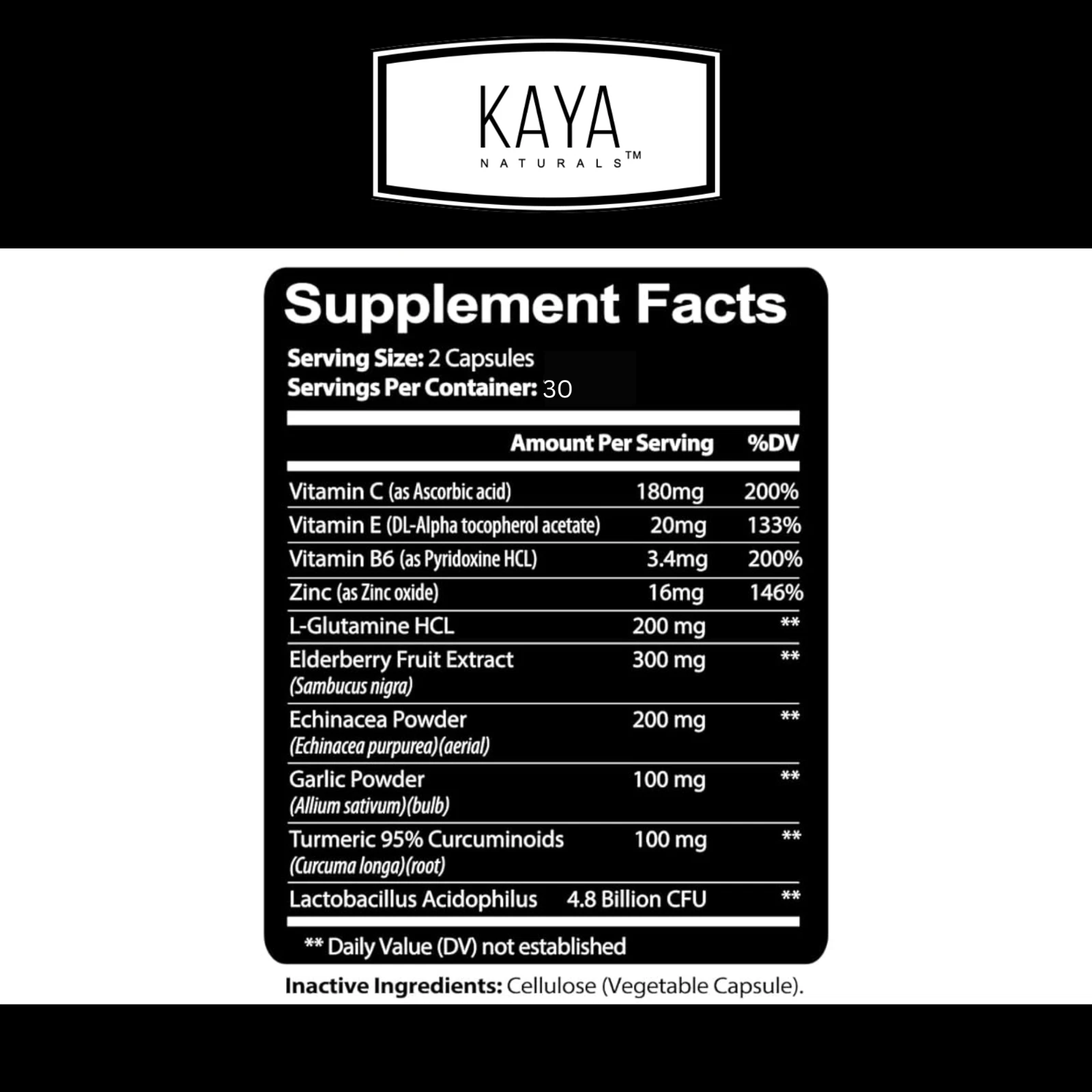 Image of Elderberry Immune Support Supplement – Vitamin C, Zinc, Probiotics & Echinacea