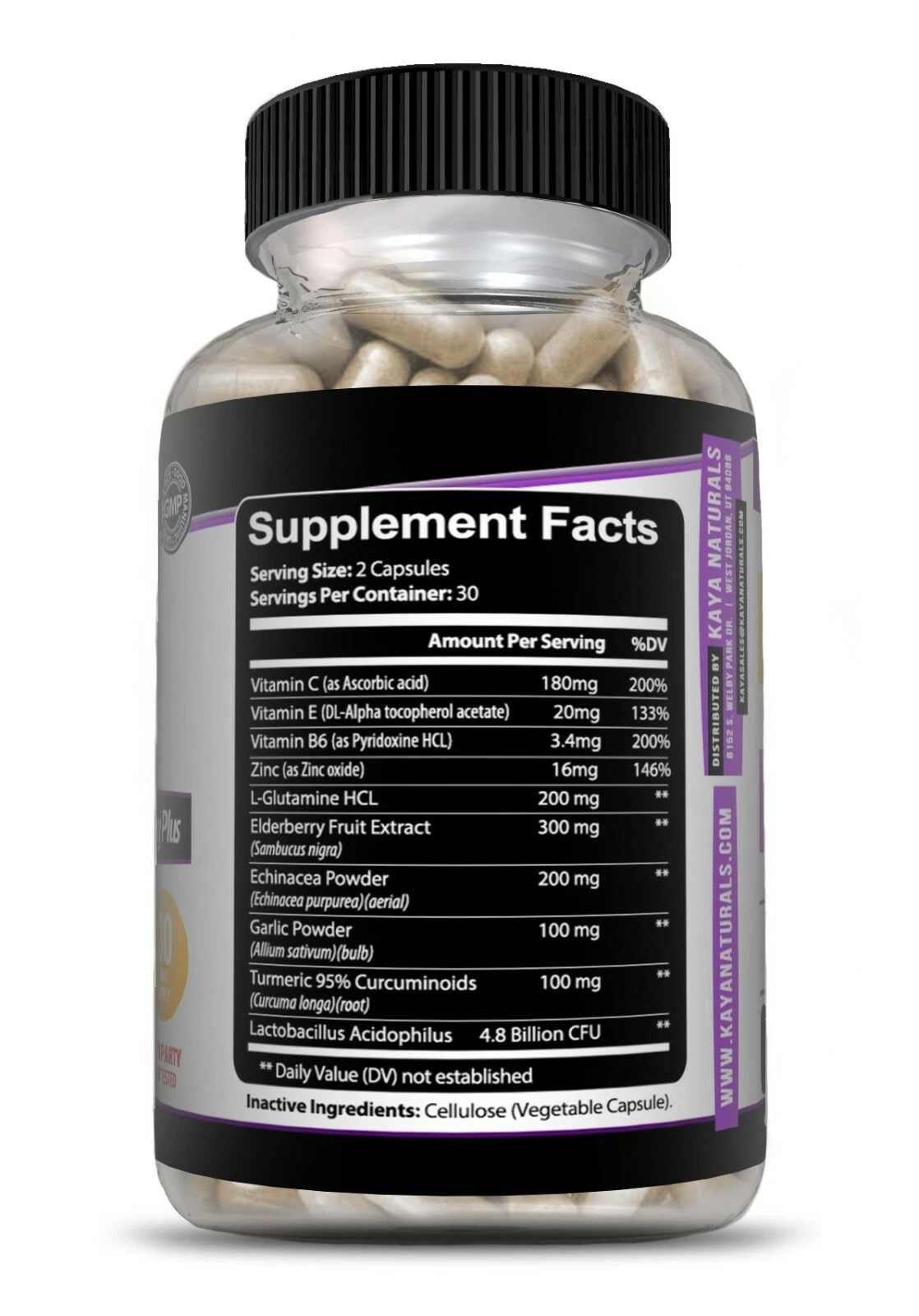 Image of Elderberry Immune Support Supplement – Vitamin C, Zinc, Probiotics & Echinacea