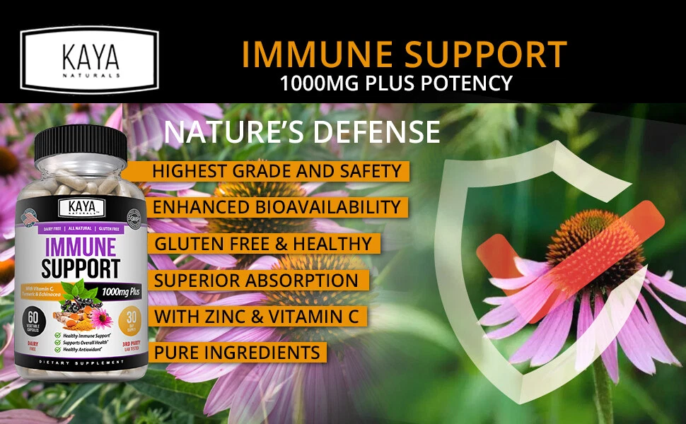 Image of Elderberry Immune Support Supplement – Vitamin C, Zinc, Probiotics & Echinacea